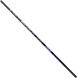 Вудилище махове Brain Scout SE Pole 5m