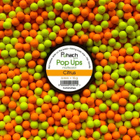 Попап Puhach Baits Pop Ups 6 mm Multicolor - Citrus (Цитрус)