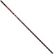 Вудилище махове Brain Classic Strong 6m 10-30g