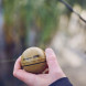 Ехолот Deeper Smart Sonar CHIRP+ 2